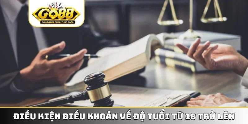 Điều kiện điều khoản về độ tuổi từ 18 trở lên